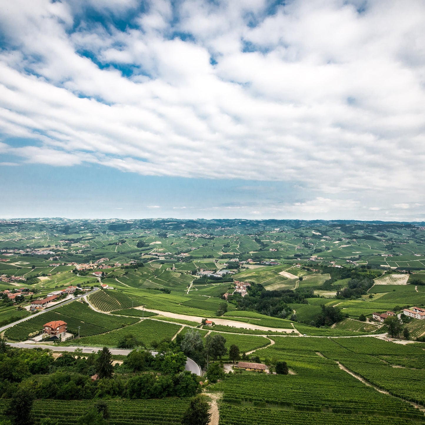 Cascina Bongiovanni Faletto Langhe Rosso