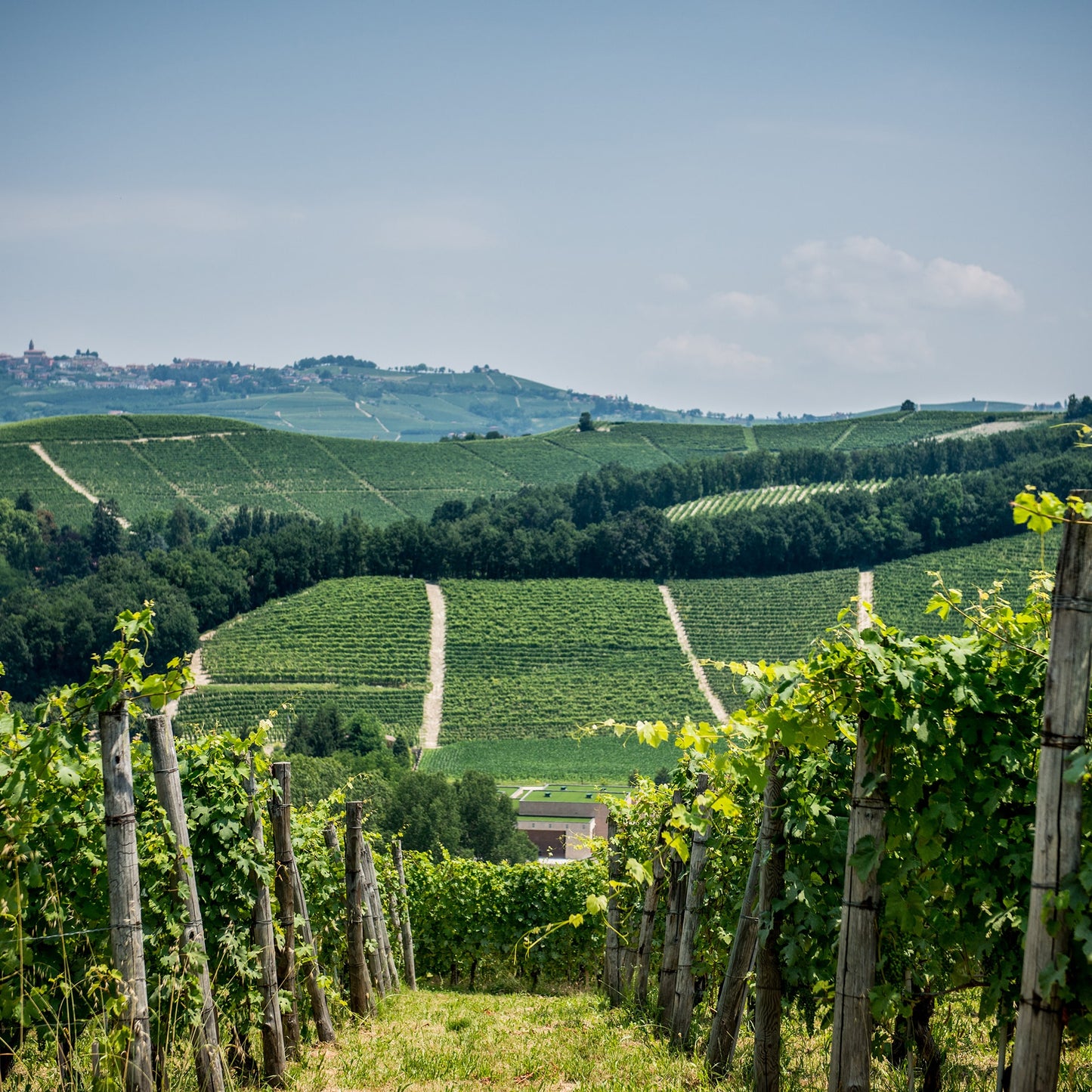 Cascina Bongiovanni Faletto Langhe Rosso